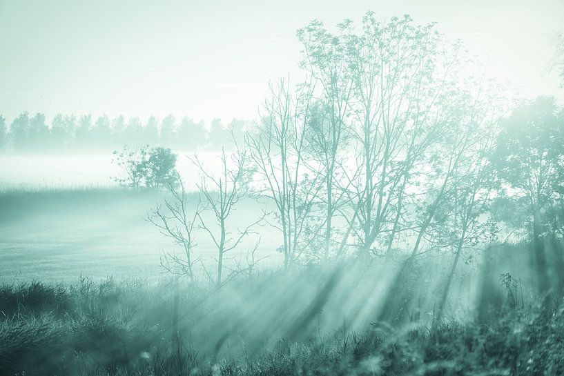 Morning story by Rik Verslype
