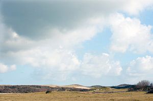 Paysage de dunes au bord de la mer en Zélande