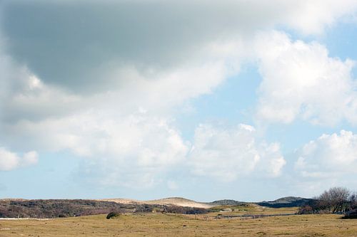 Paysage de dunes au bord de la mer en Zélande