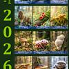 Kalender Pilze 2026 niederländische Version von Max Steinwald