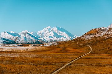 Denali Berg Alaska van Maikel Claassen Fotografie
