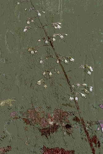 White little flowers on a rough green background