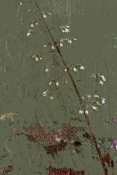Petites fleurs blanches sur un fond vert rugueux par Dominique Landau
