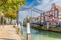 Buntes historisches Zentrum von Dordrecht von Fotografie Jeronimo Miniaturansicht