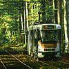 Tram 44 in de herfst van Jim De Sitter