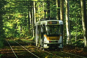 Straßenbahn 44 im Herbst von Jim De Sitter
