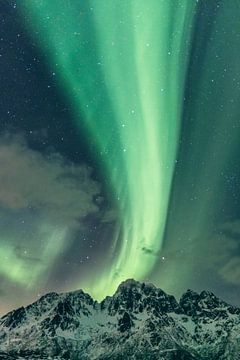 Aurore boréale au-dessus des îles Lofoten en Norvège. sur Sjoerd van der Wal Photographie