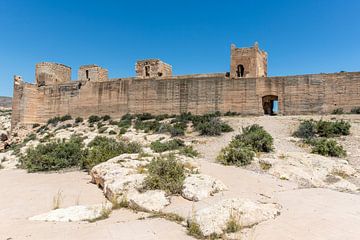 Moorse Jayran Muur met torens in Almeria, Andalusië, Spanje, Europa van WorldWidePhotoWeb