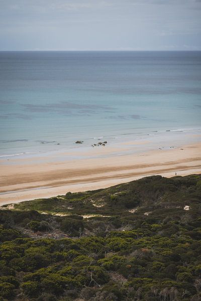 Bakers Beach: unentdecktes Küstenjuwel in Narawntapu von Ken Tempelers