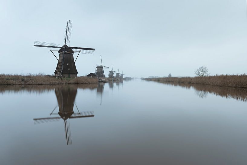 Kinderdijk by Erik de Jong
