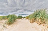 Die niederländische Landschaft mit dem Bild der Dünen von eric van der eijk Miniaturansicht