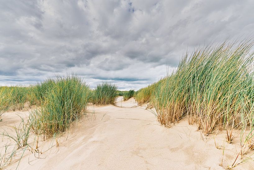 Die niederländische Landschaft mit dem Bild der Dünen von eric van der eijk