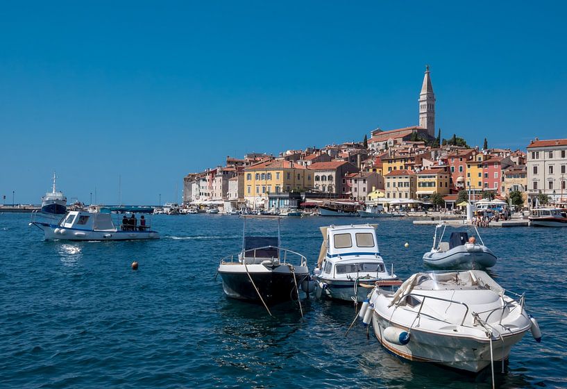 Blick auf die Hafenstadt Rovinj in Kroatien von Animaflora PicsStock