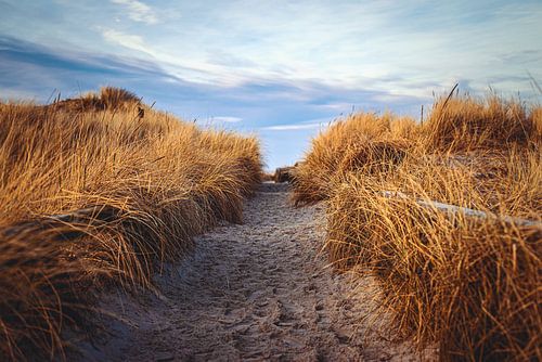 Not much further and we'll be at the beach.