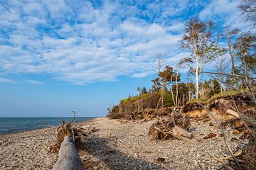 Beach at the coast of the Baltic Sea near Graal Müritz by Rico Ködder