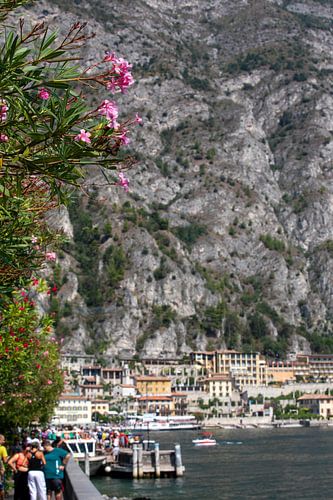 De haven van Limone sul Garda - Gardameer (de nadruk ligt op de bloemen)