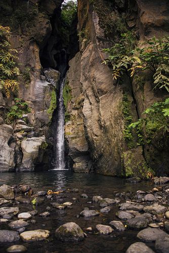 Cascade de montagne aux Açores sur Beeldspraak