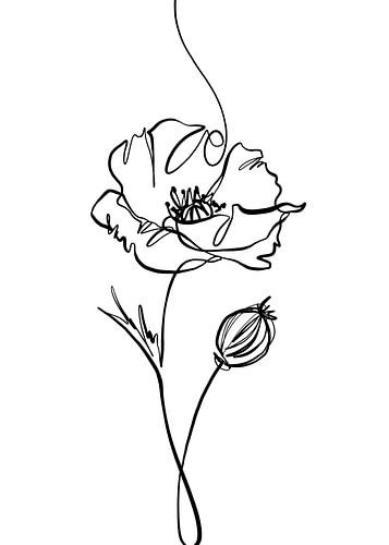 Klaproos lijntekening