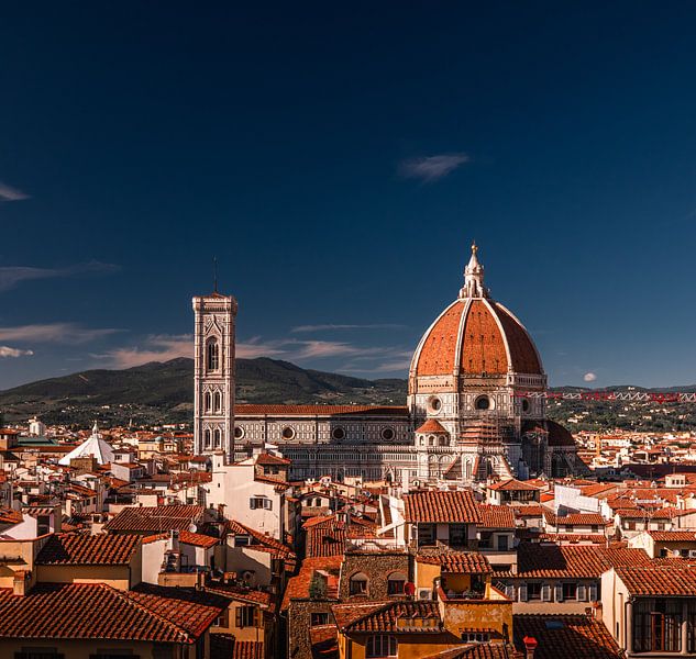 Florence by Hello Pompoyo