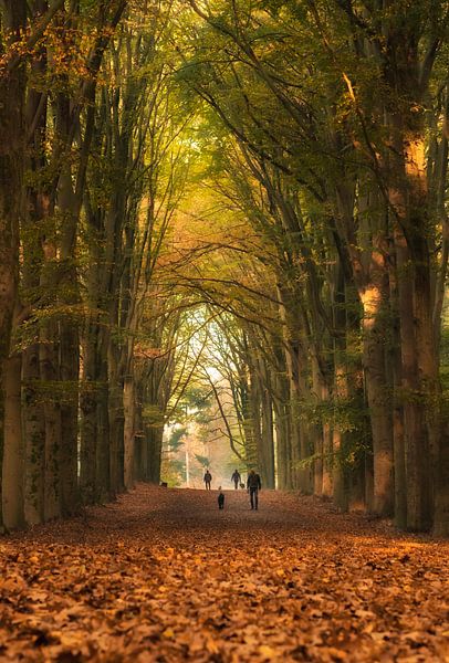 Autumn by Moetwil en van Dijk - Fotografie