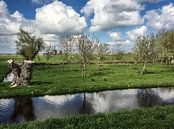 Kleurenfoto van een polderlandschap in de nabijheid van het dorp Grootschermer in Noord Holland van Hans Post thumbnail