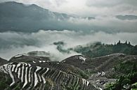 Mistig panorama.  Mistig herfstlandschap met rijstterrassen. China, Yangshuo, Longsheng Rijstterrass van Michael Semenov thumbnail