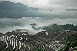 Panorama brumeux.  Paysage automnal brumeux avec rizières en terrasses. Chine, Yangshuo, Longsheng R sur Michael Semenov