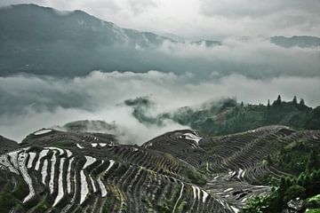 Mistig panorama.  Mistig herfstlandschap met rijstterrassen. China, Yangshuo, Longsheng Rijstterrass van Michael Semenov