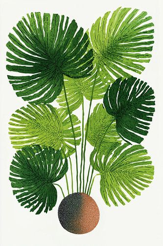 Botanical Illustration no. 4