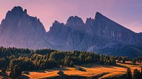 Lever du soleil à l'Alpe di Siusi par Henk Meijer Photography Aperçu