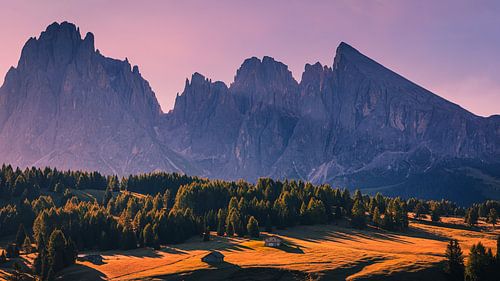 Zonsopkomst op Alpe di Siusi, zuid-Tirol, Italië
