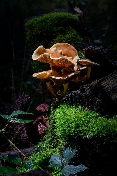 miniature landscape by Arthur Mourits