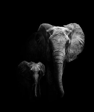 Mother and Child, WildPhotoArt  by 1x