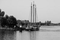 ship the Rotterdam