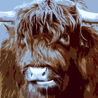Scottish Highlander