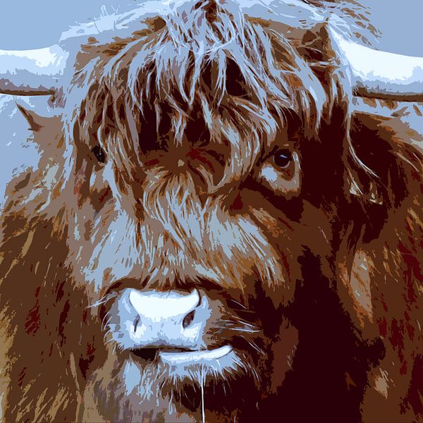 Koekop - Schotse Hooglander illustratief van geen poeha