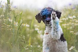 Hello by Sabine Böke-Bergau