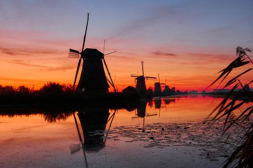Zonsopkomst bij UNESCO Werelderfgoed Kinderdijk