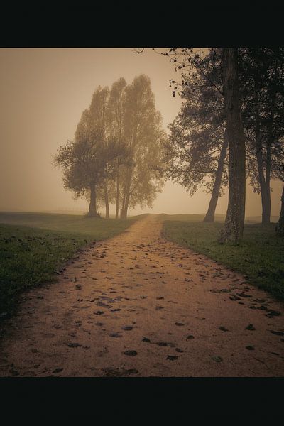 footpath by Bart Liesenborgs