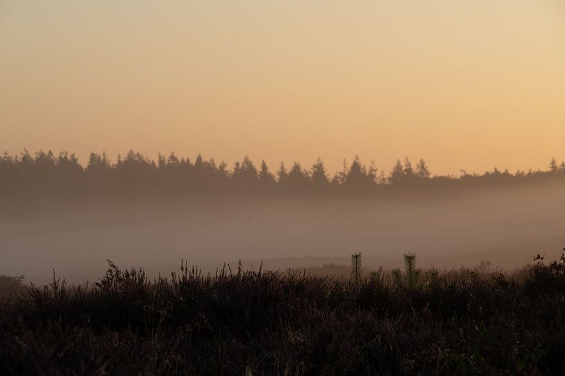 Schicht für Schicht von Van Renselaar Fotografie
