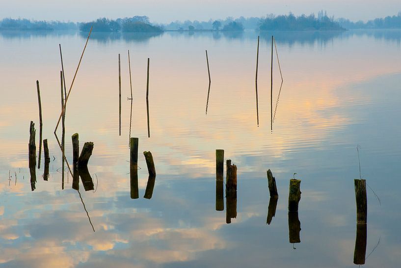 Evening on the Reeuwijkse Plassen by Rob IJsselstein