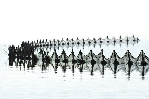 High Key Waterboeien