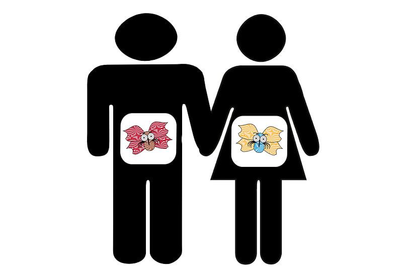 Vlinders in de buik. Man / vrouw van Grüntyers .