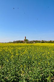 Schinkelturm und neuer Leuchturm Kap Arkona, Rapsfeld von GH Foto & Artdesign