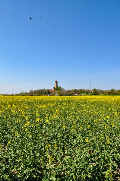 Schinkelturm und neuer Leuchturm Kap Arkona, Rapsfeld von GH Foto & Artdesign