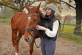 Training with the bay Oldenburg mare on a riding arena