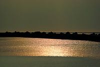 Lumière sombre nature