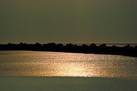 Lumière sombre nature