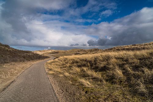De duinen bij Bloemendaal aan Zee