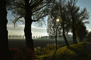 Langs de dijk van Bert Seinstra